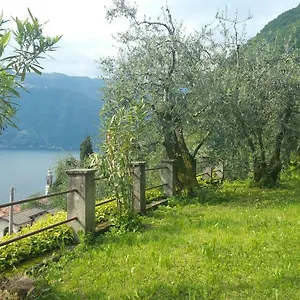 gli-ulivi-di-nesso.it-lombardy.com/